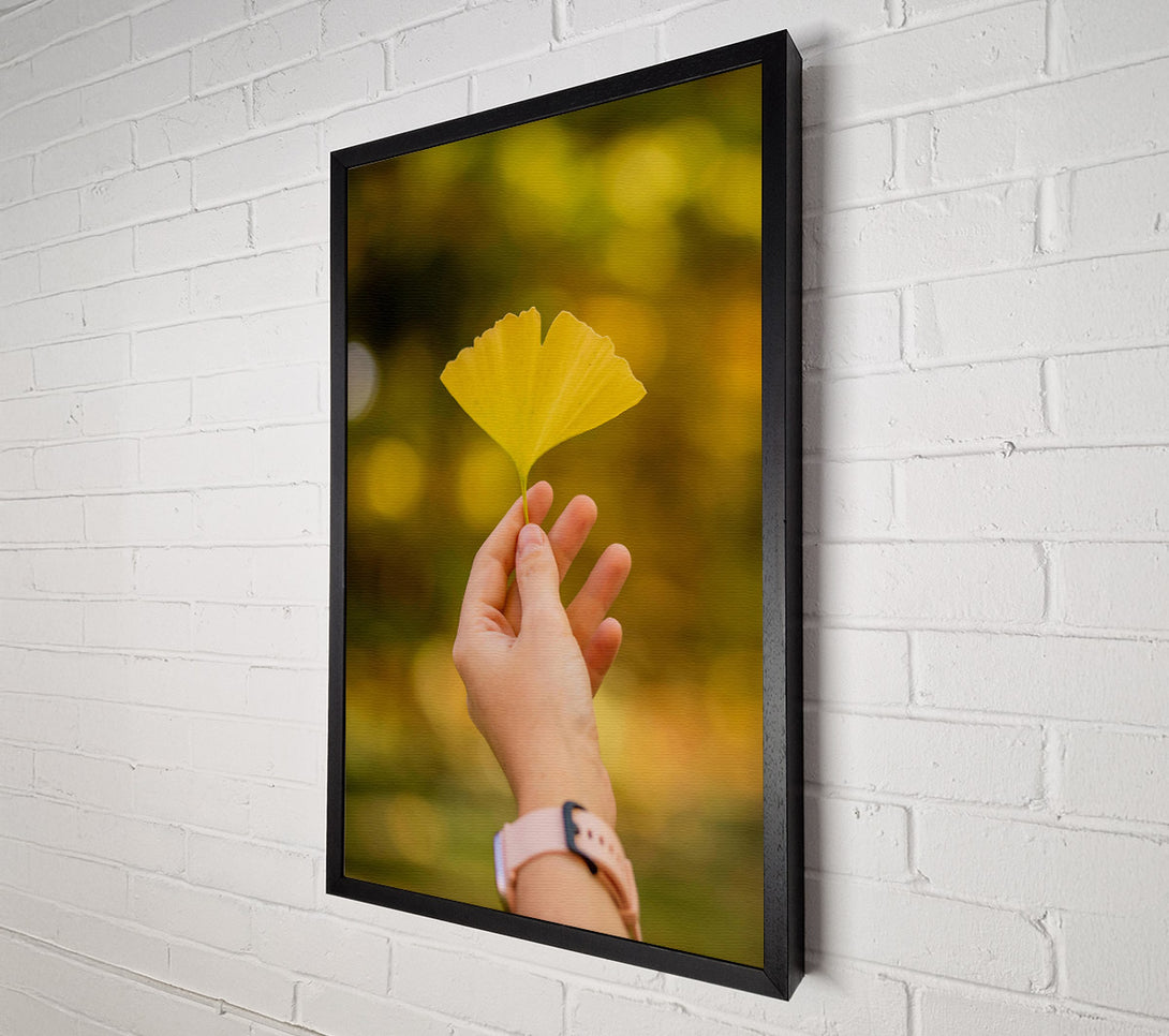  A Canvas Print of Golden Leaf Held High Canvas Wall Art