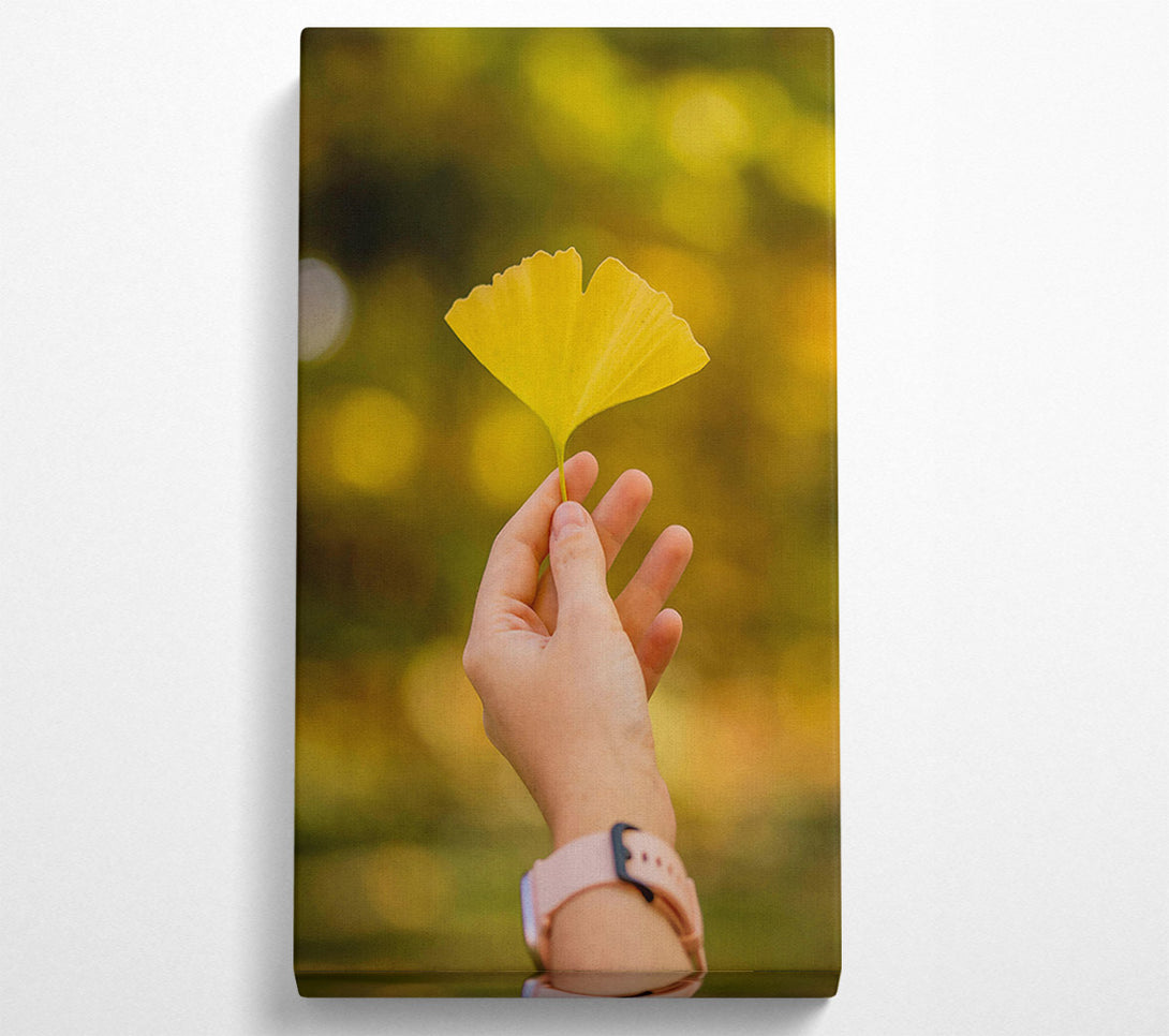  A Canvas Print of Golden Leaf Held High Canvas Wall Art