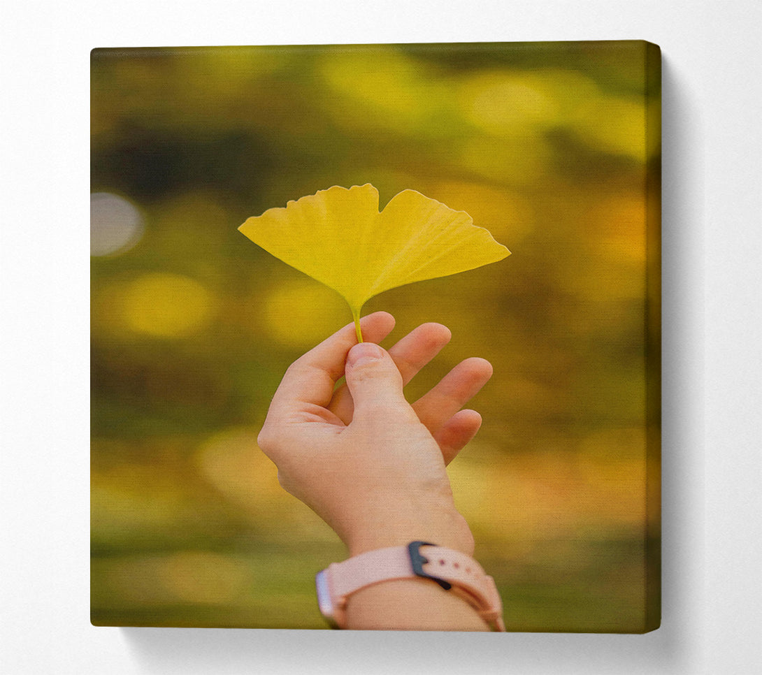 A Canvas Print of Golden Leaf Held High Canvas Wall Art