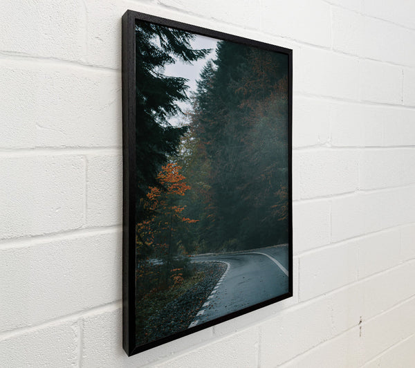 Green Forest Road