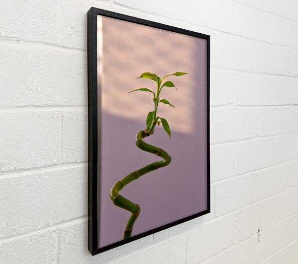 Green Bamboo Bend