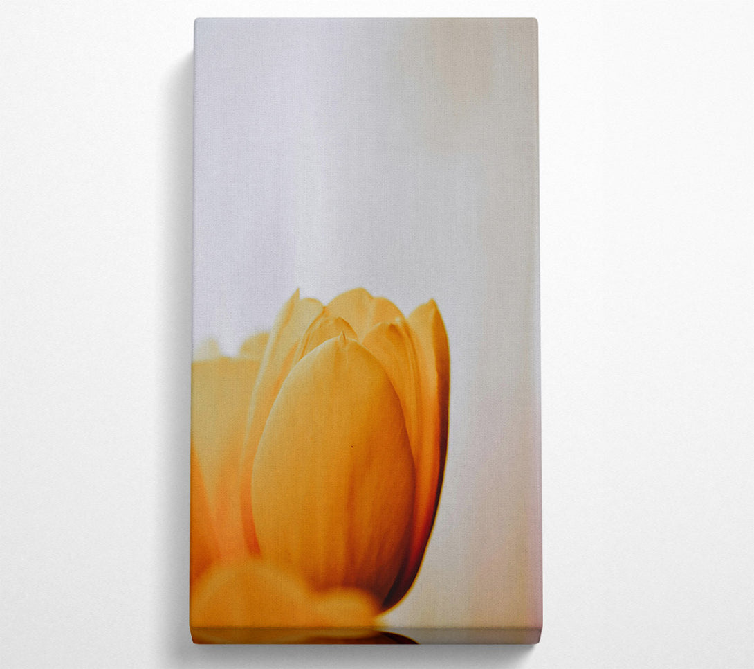  A Canvas Print of Golden Petal Embrace Canvas Print