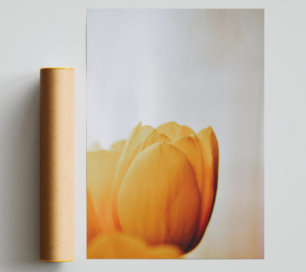 Golden Petal Embrace Print