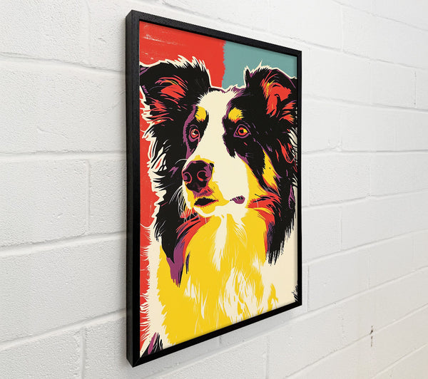 Border Collie Pop Art