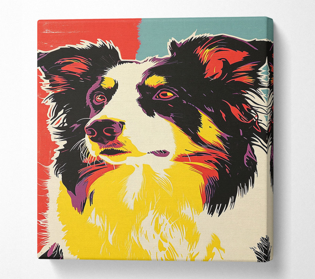  A Canvas Print of Border Collie Pop Art Canvas Wall Art