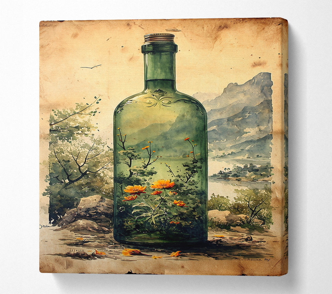  A Canvas Print of Botanic Bottle Canvas Print