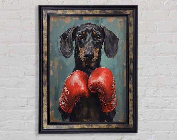 Boxing Dachshund Framed Print
