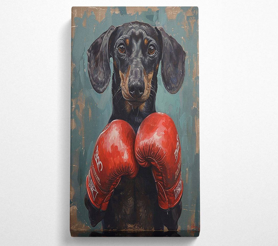  A Canvas Print of Boxing Dachshund Canvas Art