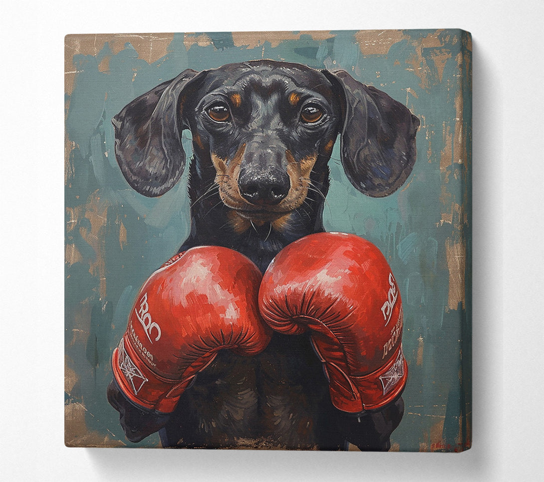  A Canvas Print of Boxing Dachshund Canvas Art