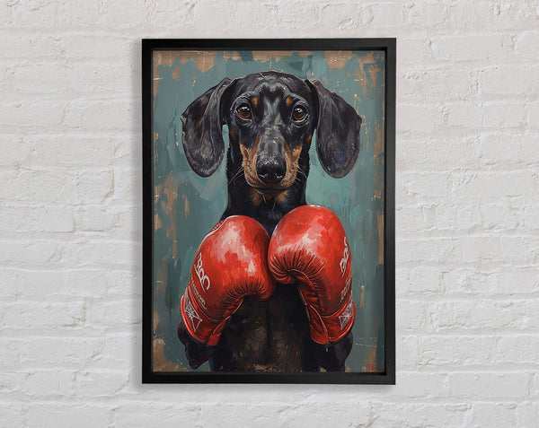 Boxing Dachshund Framed Print