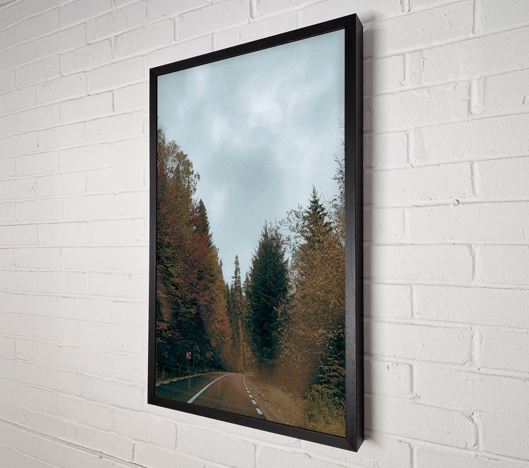  A Canvas Print of Green Road Through Trees Canvas Wall Art