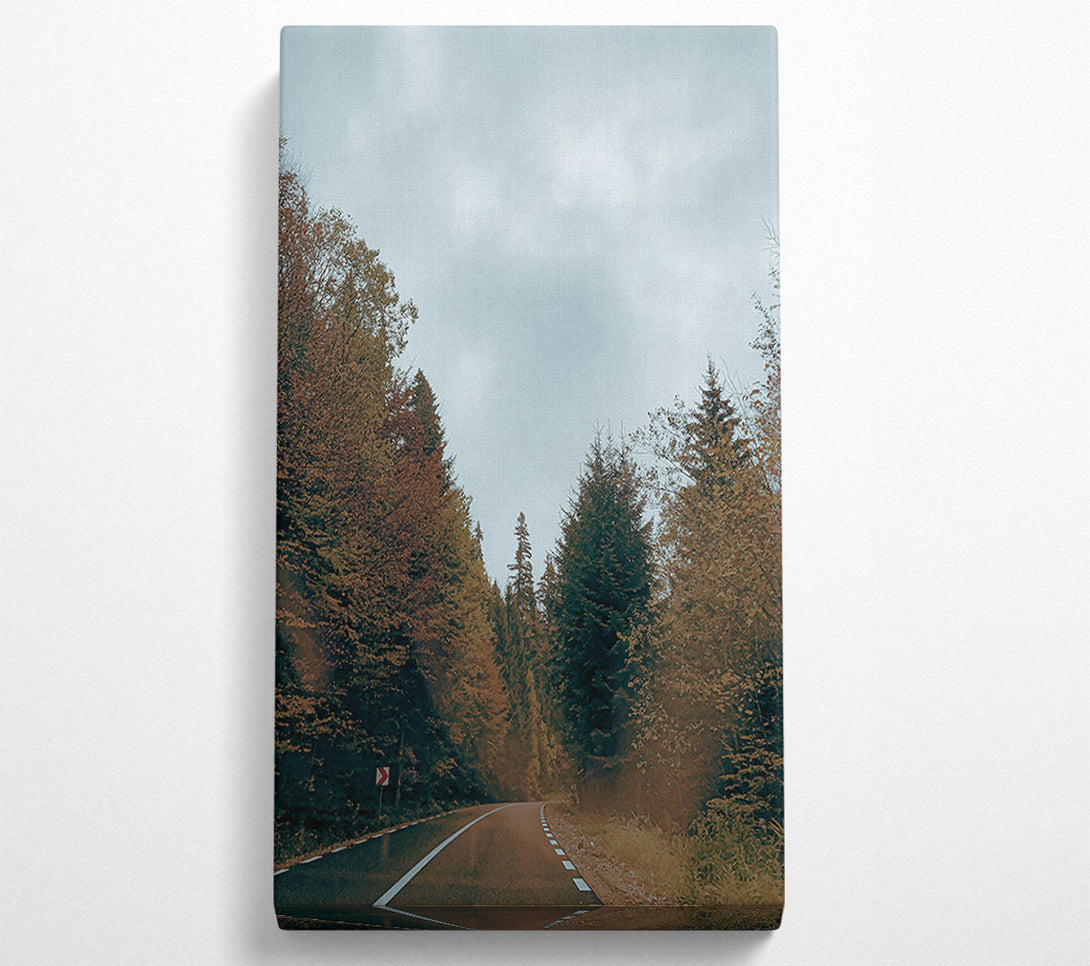  A Canvas Print of Green Road Through Trees Canvas Wall Art
