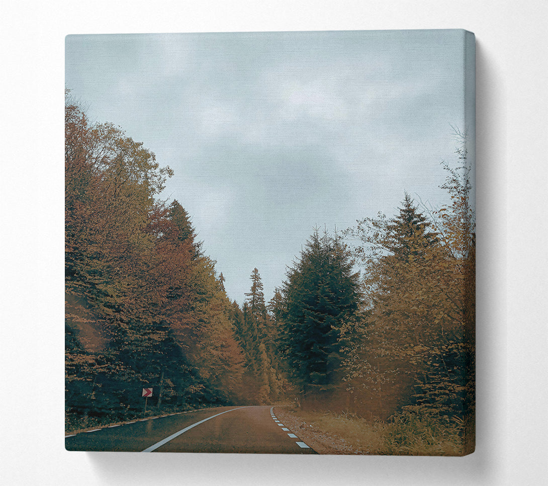  A Canvas Print of Green Road Through Trees Canvas Wall Art
