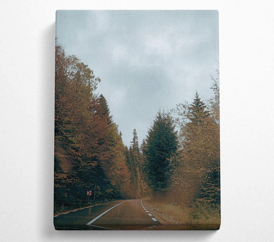  A Canvas Print of Green Road Through Trees Canvas Wall Art