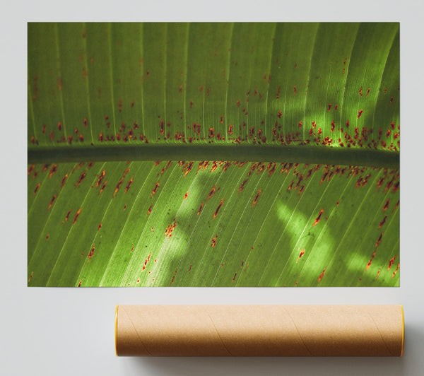 Green Leaf Rust Spots Print