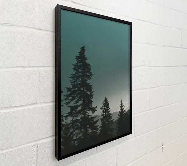 Teal Forest Silhouette