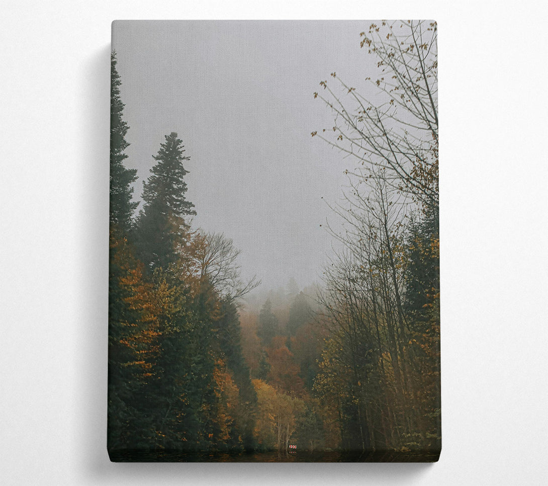  A Canvas Print of Green Mist Forest Canvas Print