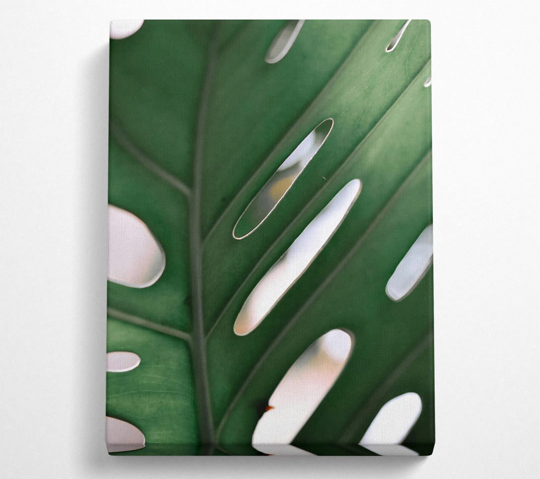  A Canvas Print of Emerald Leaf Veins Canvas Print