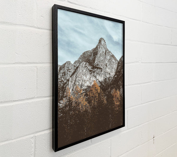 Gray Mountain Shadow