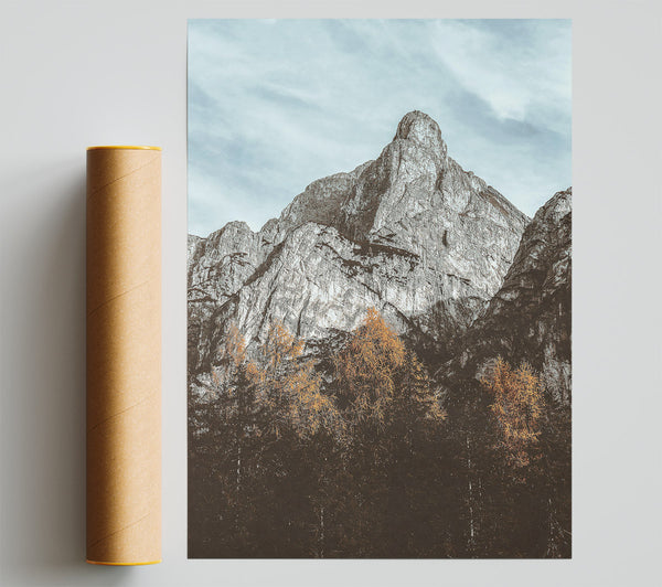Gray Mountain Shadow Print