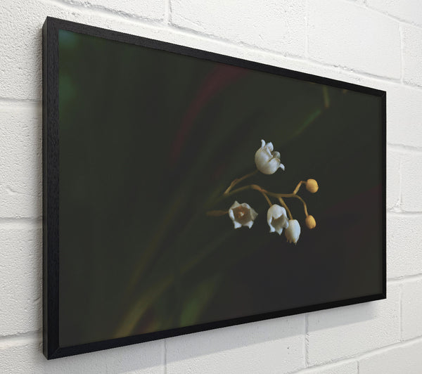 Green And White Bells