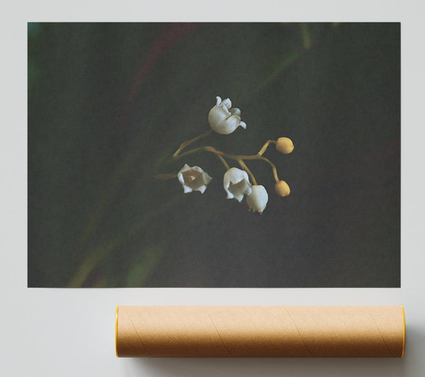Green And White Bells Giclee Print