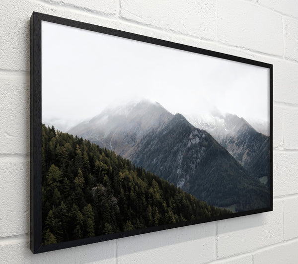 Green Mountains In Fog