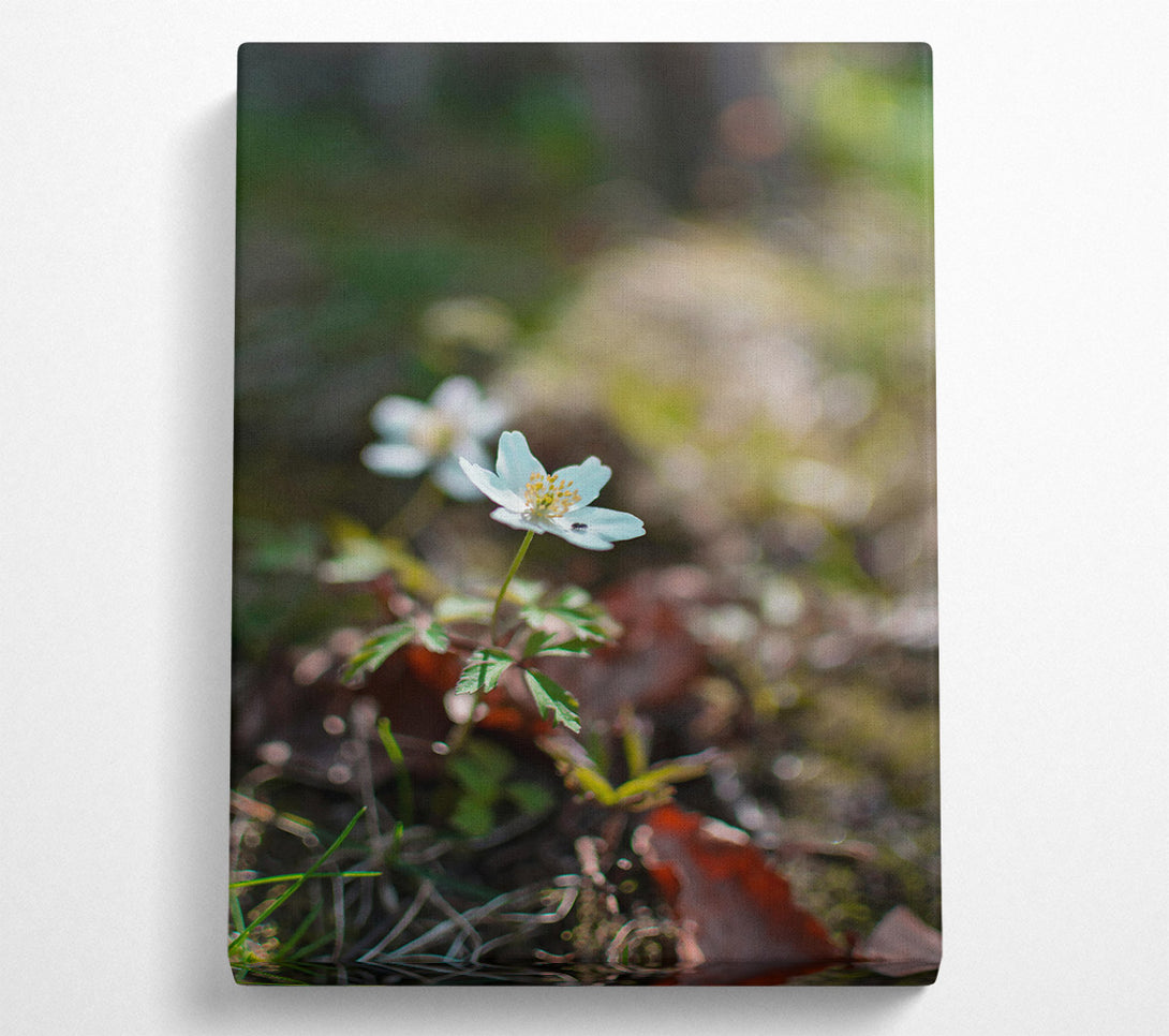  A Canvas Print of Loading... Canvas Print