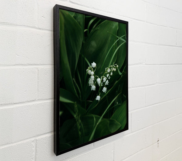 Green Lily Bells