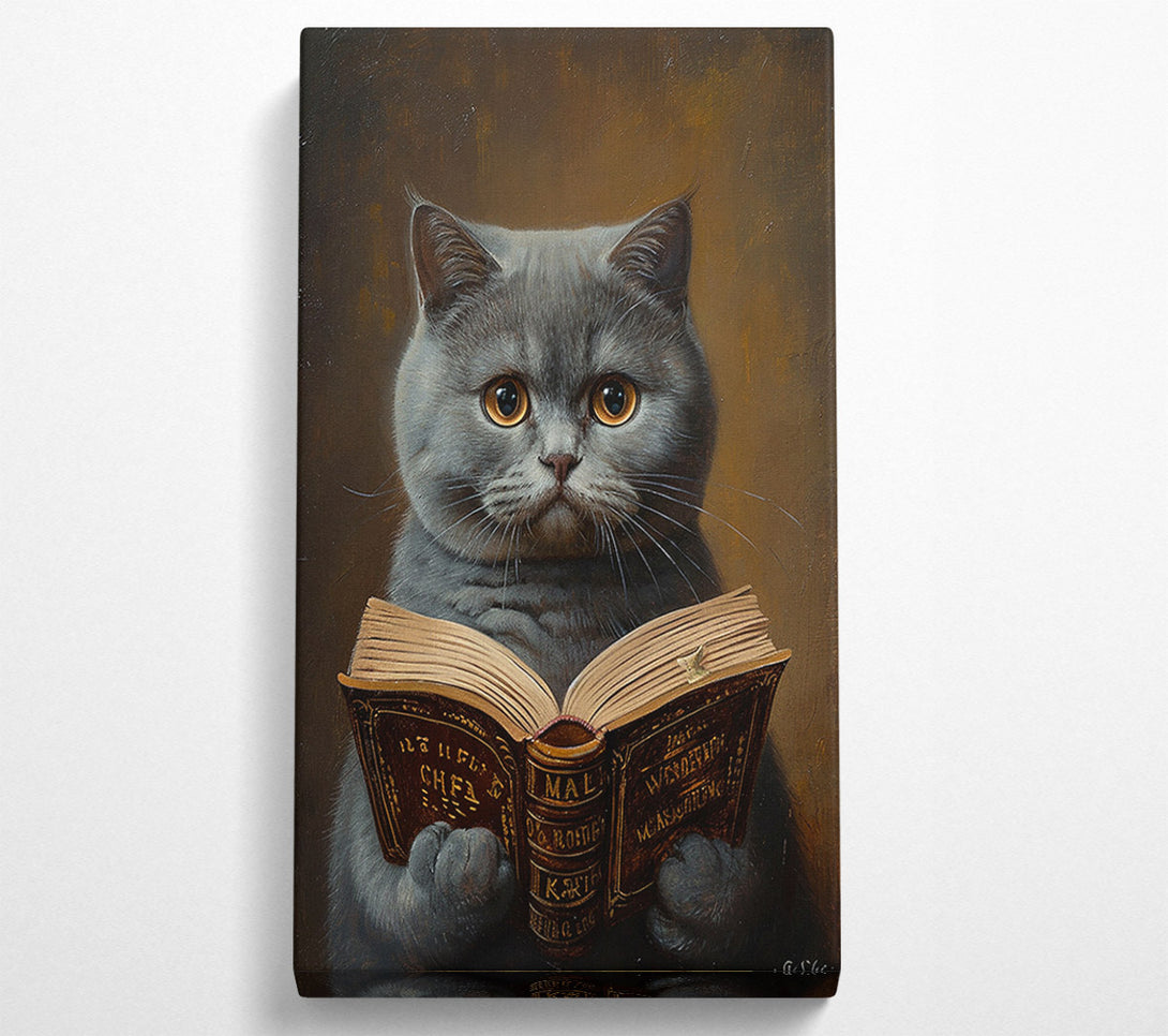  A Canvas Print of British Shorth Air Canvas Art