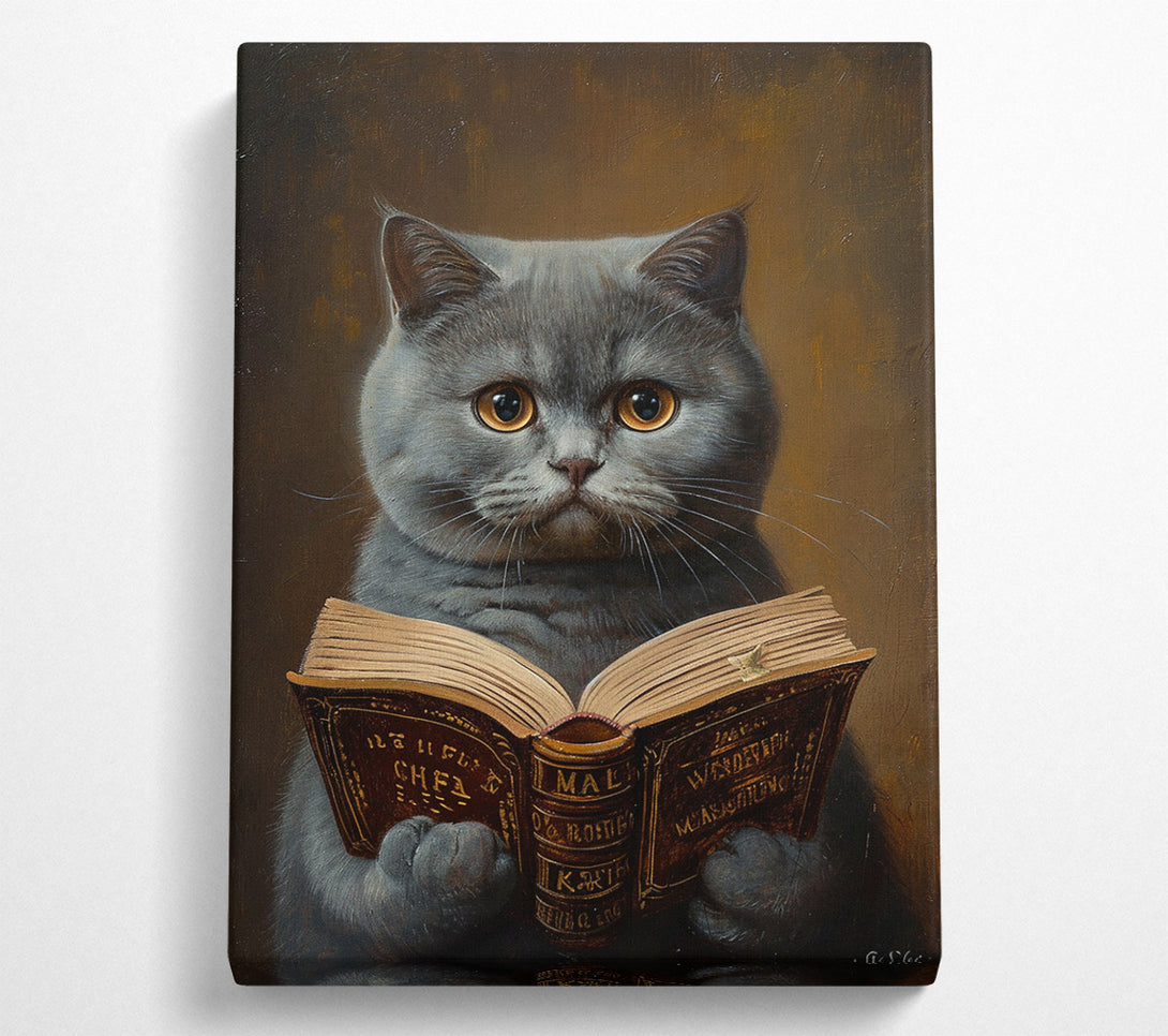  A Canvas Print of British Shorth Air Canvas Art