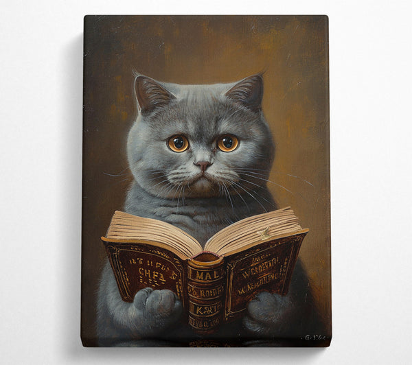  A Canvas Print of British Shorth Air Canvas Art