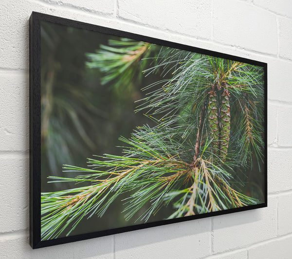 Emerald Pine Cones
