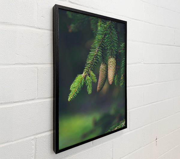 Green Pine Cones