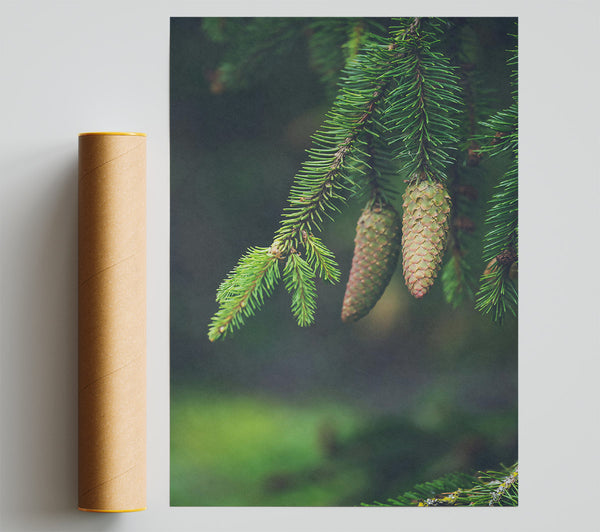 Green Pine Cones Print