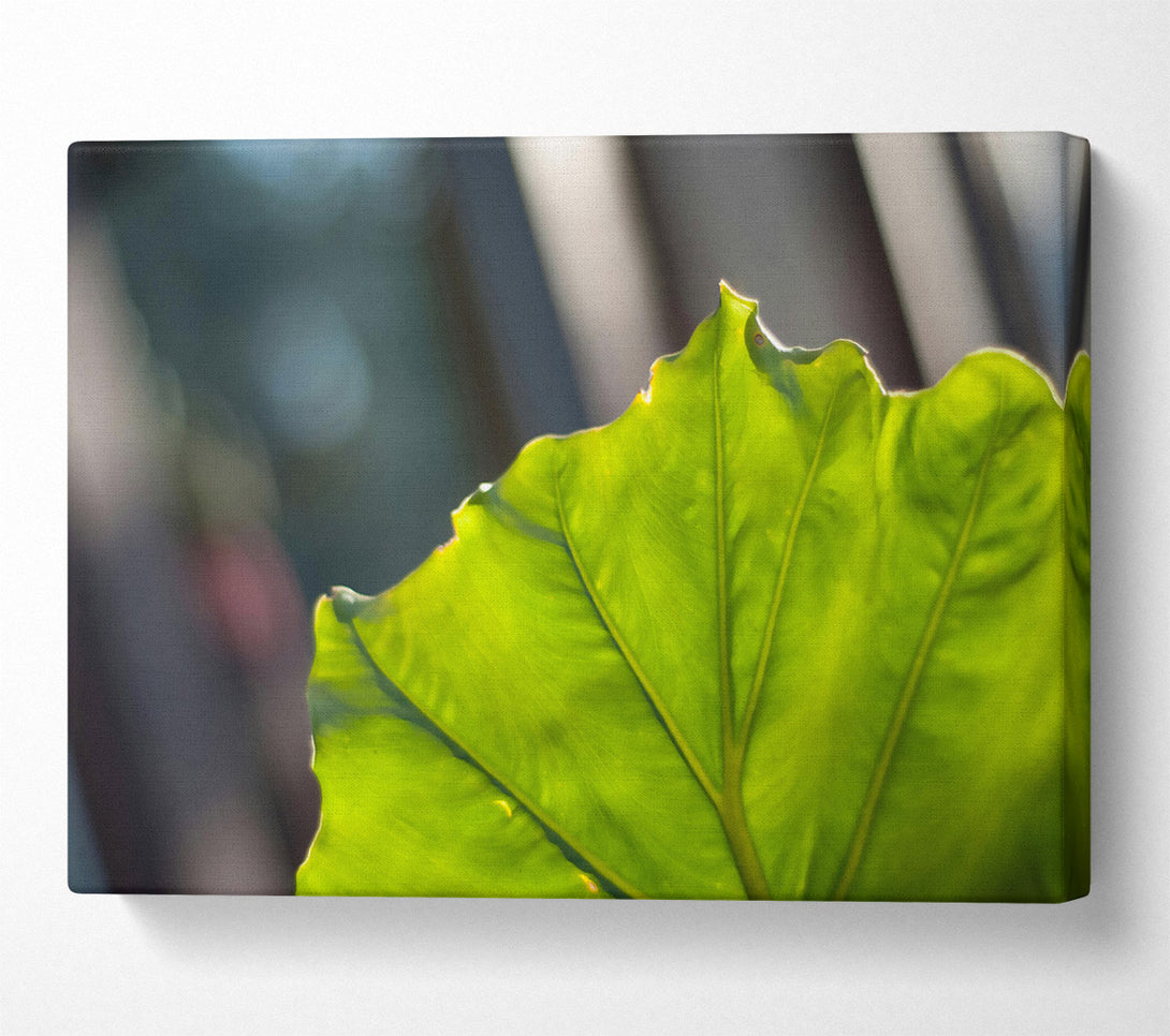  A Canvas Print of Loading... Canvas Print