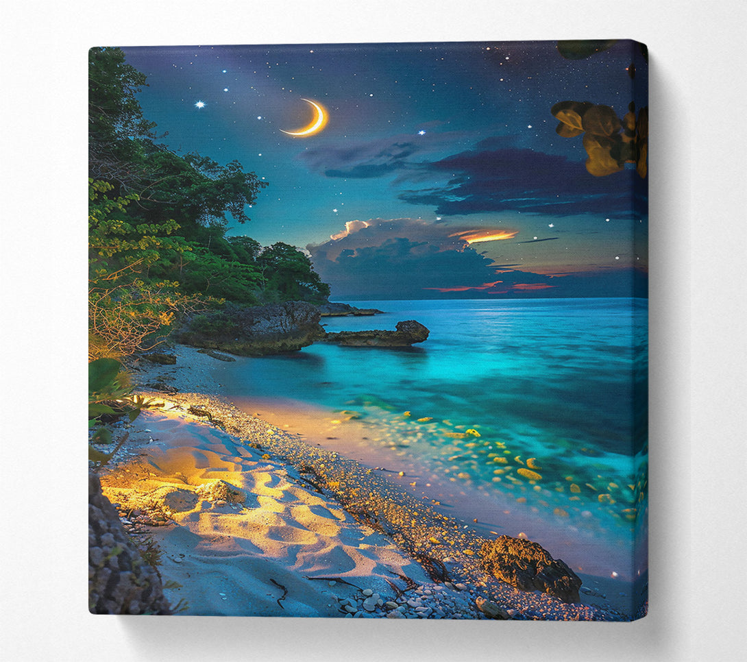  A Canvas Print of Blue Moonlight Beach Canvas Print