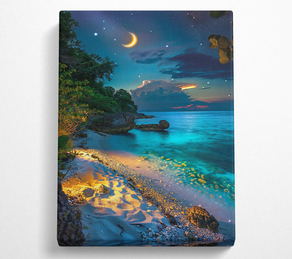  A Canvas Print of Blue Moonlight Beach Canvas Print