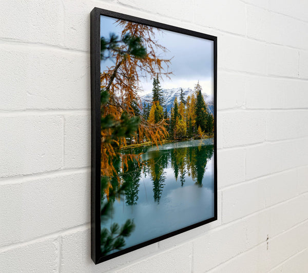 Green Reflections In Autumn