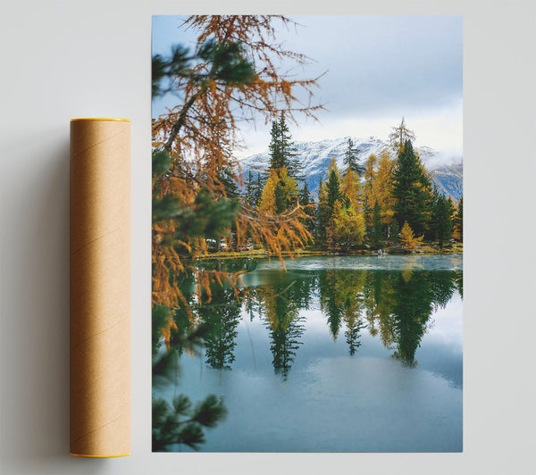 Green Reflections In Autumn Giclee Print