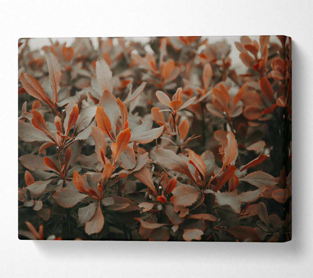  A Canvas Print of Crimson Leaf Symphony Canvas Wall Art