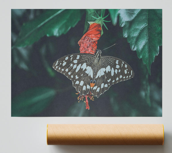 Red Bloom Butterfly Print