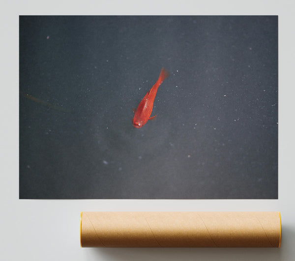 Red Fish In The Deep Print