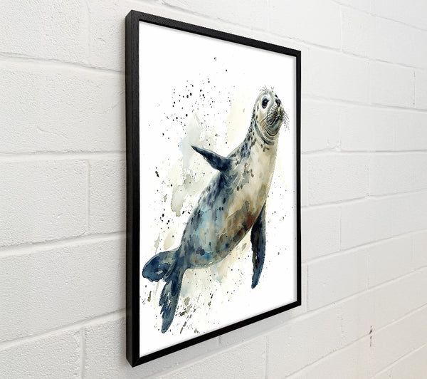 Blue Seal Splash