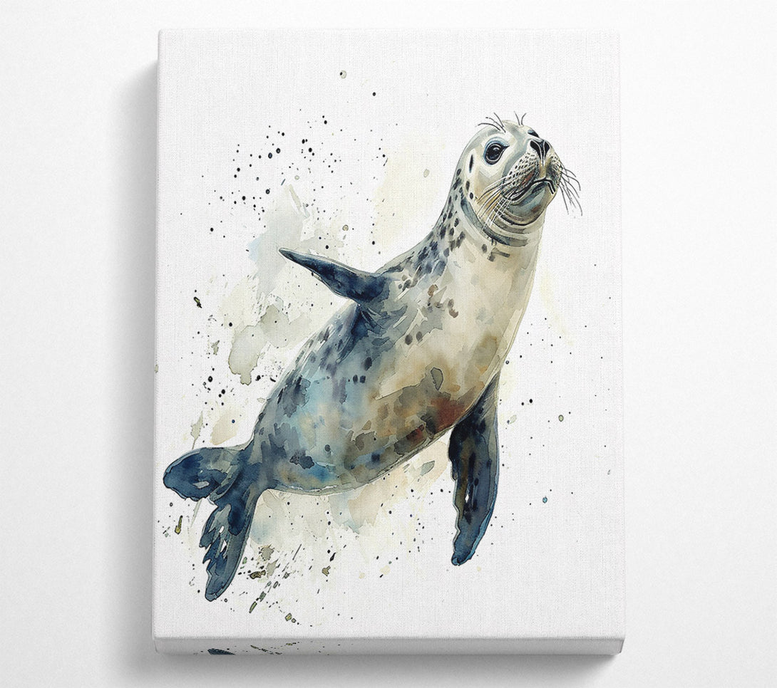  A Canvas Print of Blue Seal Splash Canvas Art