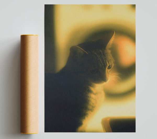 Golden Cat Silhouette Giclee Print
