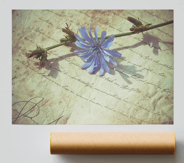 Pale Blue Letter Print