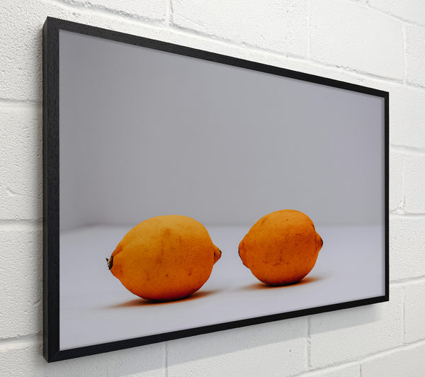 Golden Citrus Duo