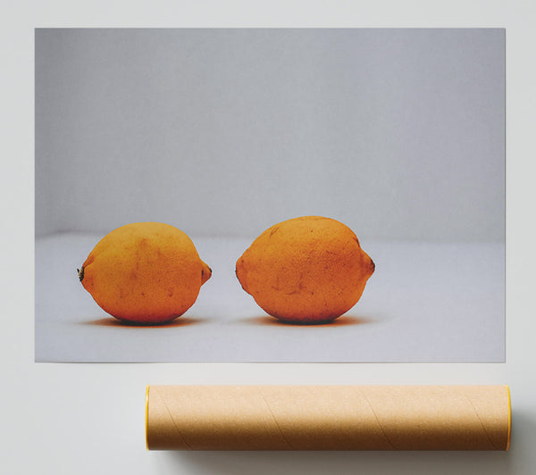 Golden Citrus Duo Giclee Print