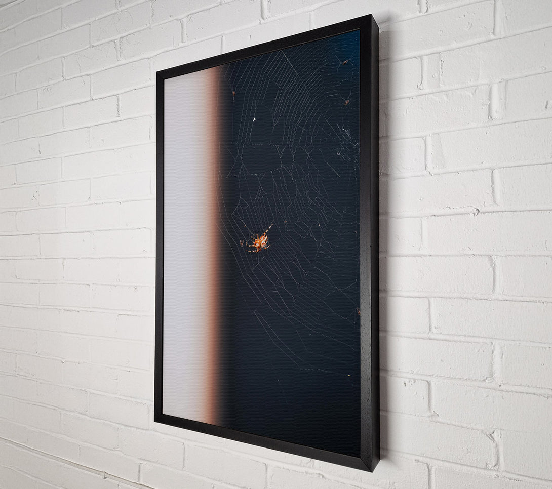  A Canvas Print of Black Web Weaver Canvas Wall Art